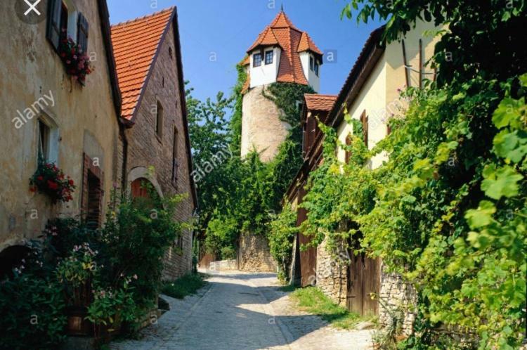 ズルツフェルト・アム・マインWeinurlaubアパートメント エクステリア 写真