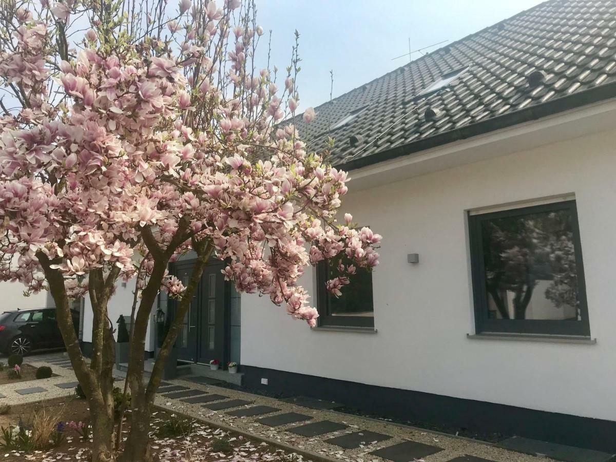 ズルツフェルト・アム・マインWeinurlaubアパートメント エクステリア 写真